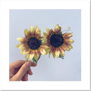 Aesthetic Sunflower Posters and Art